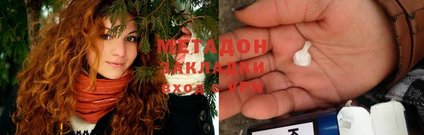 индика Алзамай