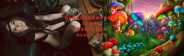 индика Алзамай
