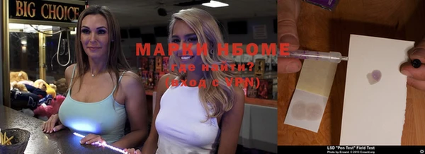 индика Алзамай