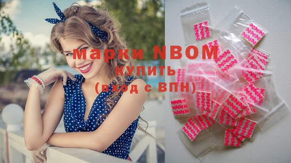 шишки Покачи