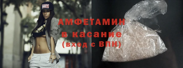 индика Алзамай