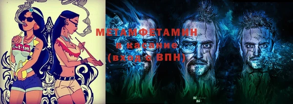индика Алзамай