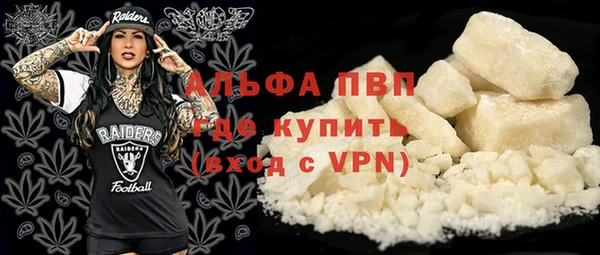 метадон Алексин